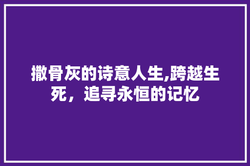 撒骨灰的诗意人生,跨越生死，追寻永恒的记忆