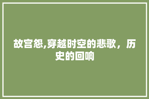 故宫怨,穿越时空的悲歌，历史的回响