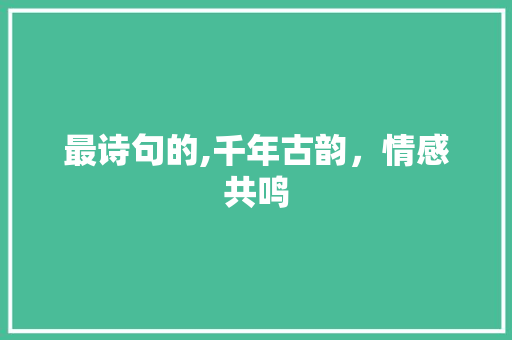 最诗句的,千年古韵，情感共鸣