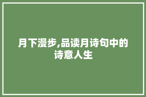月下漫步,品读月诗句中的诗意人生