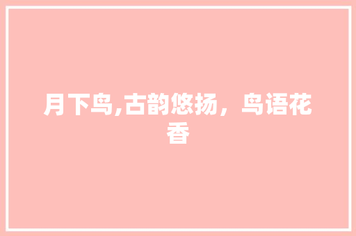 月下鸟,古韵悠扬，鸟语花香