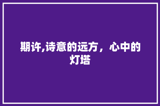 期许,诗意的远方，心中的灯塔
