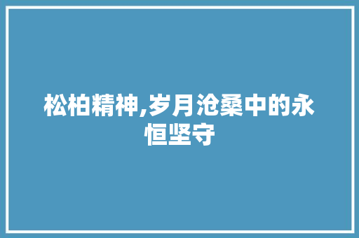 松柏精神,岁月沧桑中的永恒坚守