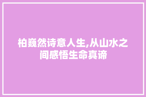 柏巍然诗意人生,从山水之间感悟生命真谛