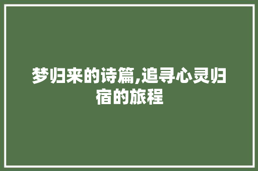 梦归来的诗篇,追寻心灵归宿的旅程