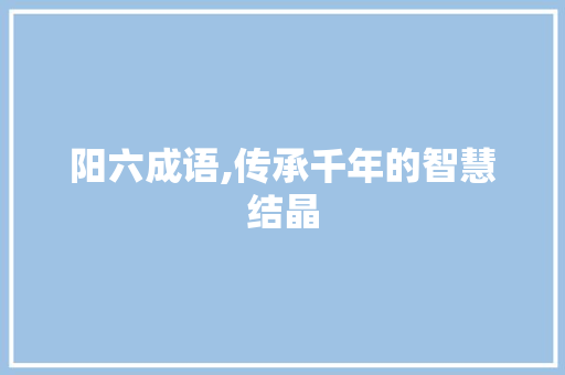 阳六成语,传承千年的智慧结晶