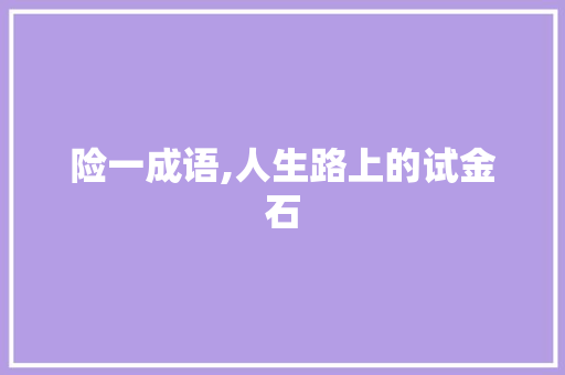 险一成语,人生路上的试金石