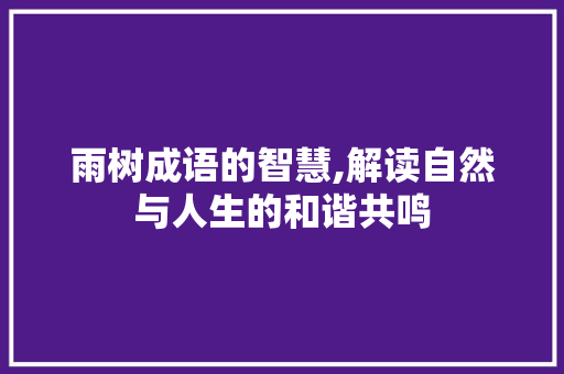雨树成语的智慧,解读自然与人生的和谐共鸣