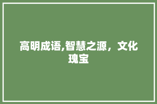 高明成语,智慧之源，文化瑰宝