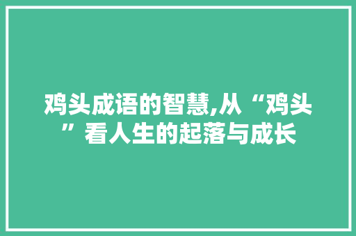 鸡头成语的智慧,从“鸡头”看人生的起落与成长