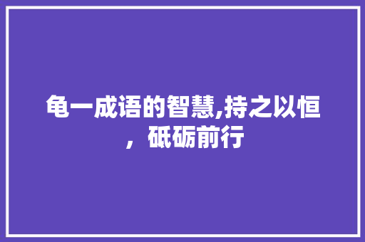 龟一成语的智慧,持之以恒，砥砺前行