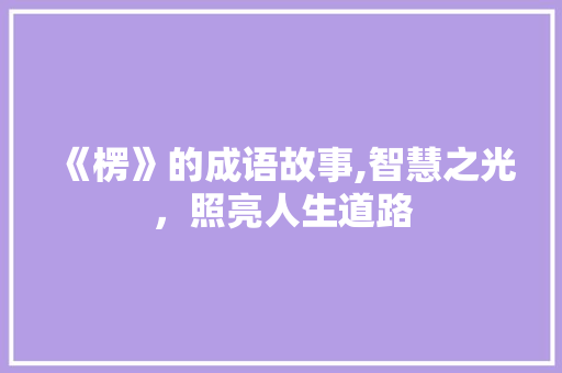 《楞》的成语故事,智慧之光，照亮人生道路