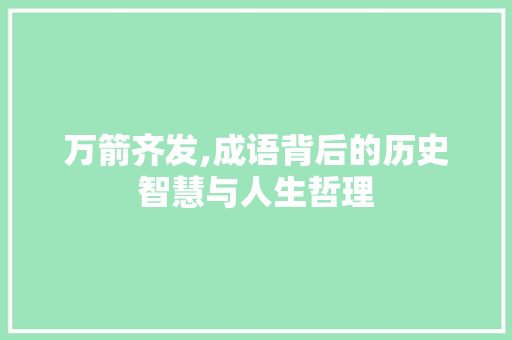 万箭齐发,成语背后的历史智慧与人生哲理