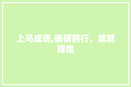 上马成语,砥砺前行，成就辉煌
