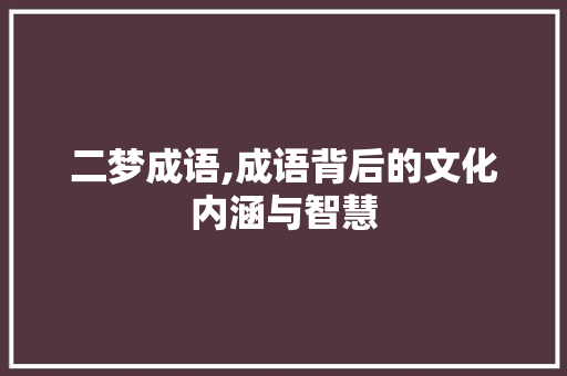 二梦成语,成语背后的文化内涵与智慧
