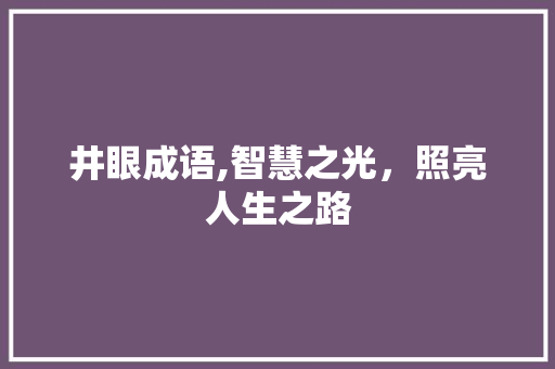 井眼成语,智慧之光，照亮人生之路