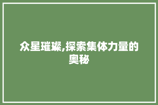 众星璀璨,探索集体力量的奥秘