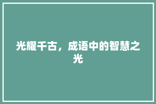 光耀千古，成语中的智慧之光