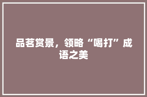 品茗赏景，领略“喝打”成语之美