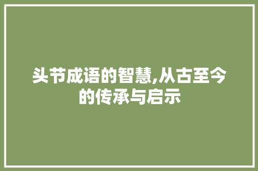 头节成语的智慧,从古至今的传承与启示