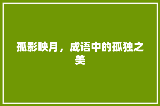 孤影映月，成语中的孤独之美