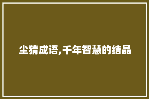 尘猜成语,千年智慧的结晶