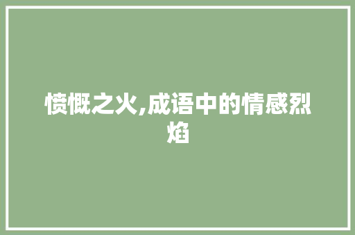 愤慨之火,成语中的情感烈焰