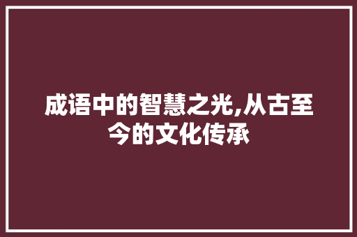 成语中的智慧之光,从古至今的文化传承