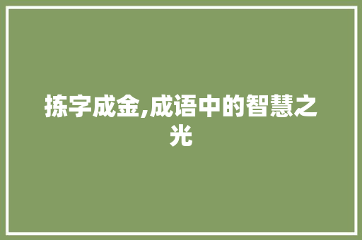 拣字成金,成语中的智慧之光