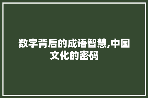 数字背后的成语智慧,中国文化的密码