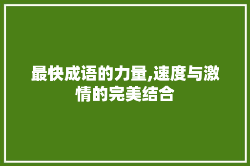 最快成语的力量,速度与激情的完美结合