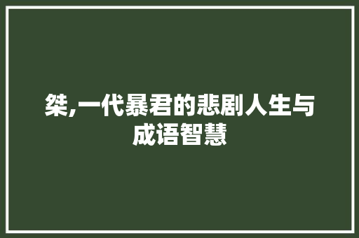 桀,一代暴君的悲剧人生与成语智慧