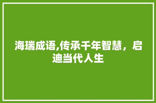 海瑞成语,传承千年智慧，启迪当代人生