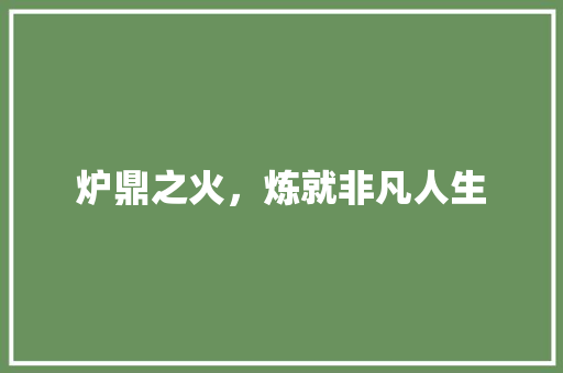 炉鼎之火，炼就非凡人生