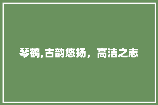 琴鹤,古韵悠扬，高洁之志