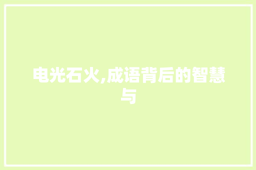 电光石火,成语背后的智慧与