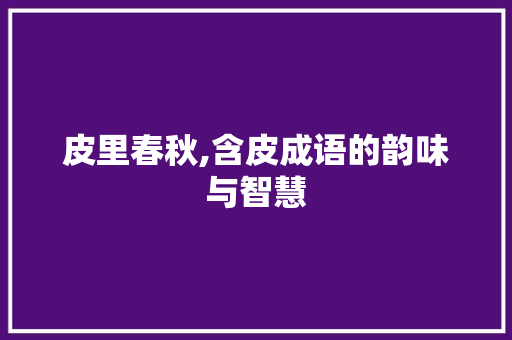 皮里春秋,含皮成语的韵味与智慧