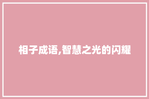 相子成语,智慧之光的闪耀
