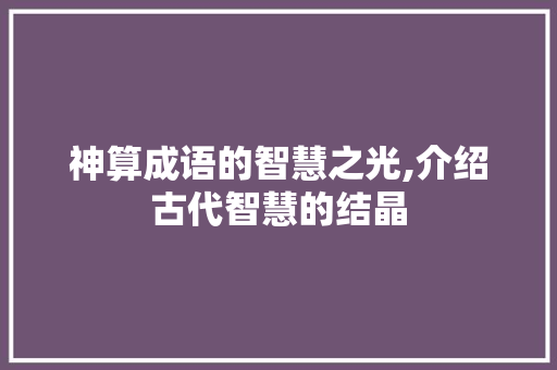 神算成语的智慧之光,介绍古代智慧的结晶