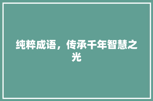 纯粹成语，传承千年智慧之光