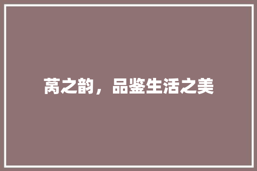 莴之韵，品鉴生活之美