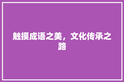 触摸成语之美，文化传承之路