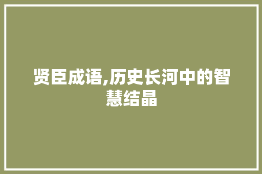 贤臣成语,历史长河中的智慧结晶