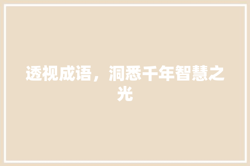 透视成语，洞悉千年智慧之光