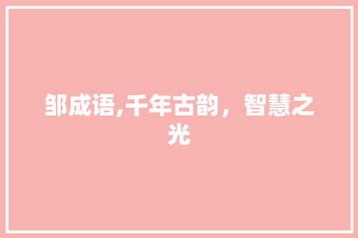 邹成语,千年古韵，智慧之光