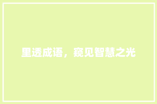 里透成语，窥见智慧之光