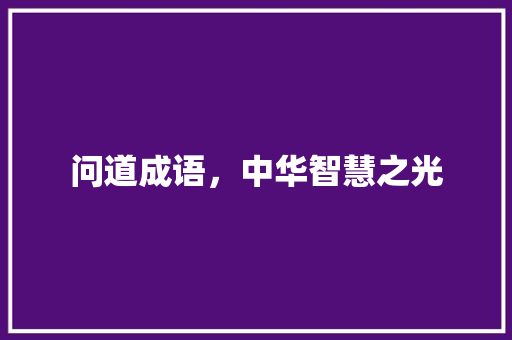 问道成语，中华智慧之光