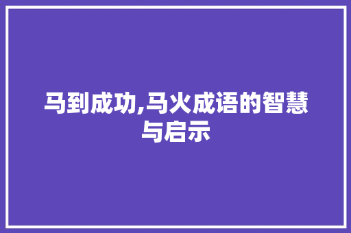 马到成功,马火成语的智慧与启示