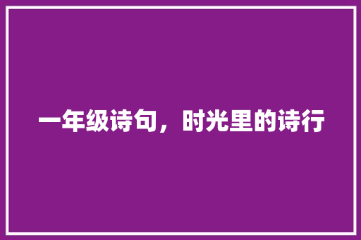 一年级诗句，时光里的诗行
