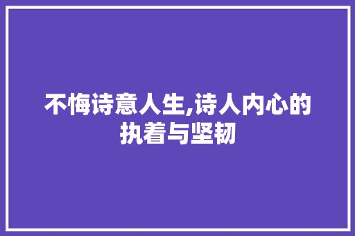 不悔诗意人生,诗人内心的执着与坚韧